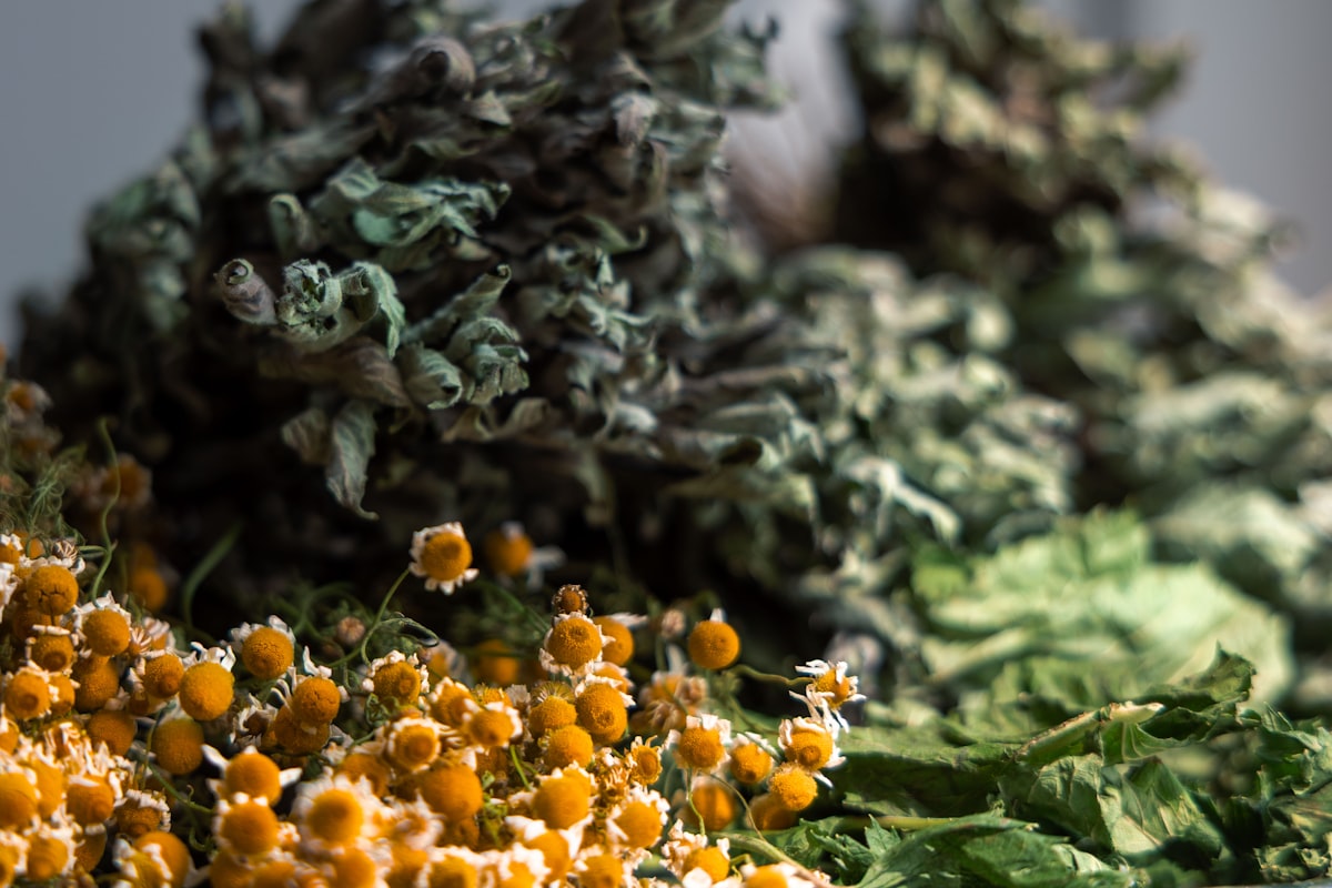 Herbal preparation methods